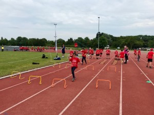 Hurdles on the track